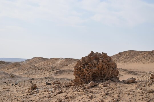 Wadi Dahek Nature Reserve located in the North-Eastern Badia within Zarqa Governorate's borders