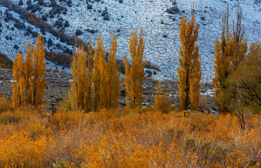 Autumn in Sierra Nevada