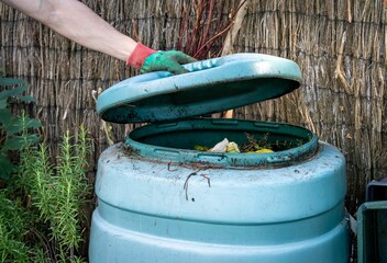 Compost bin with food waste and red worms