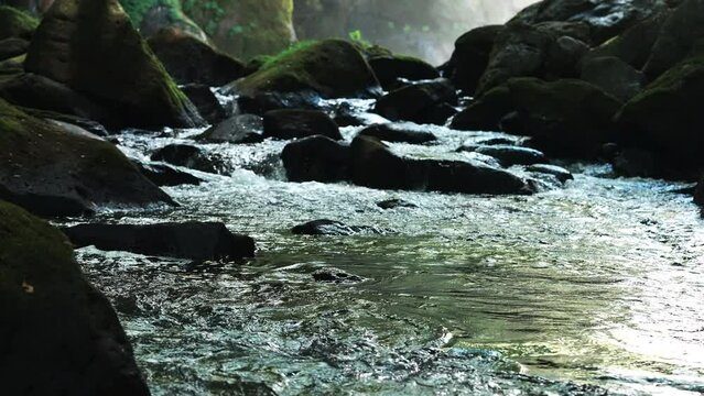 大分県竹田市の黄牛の滝