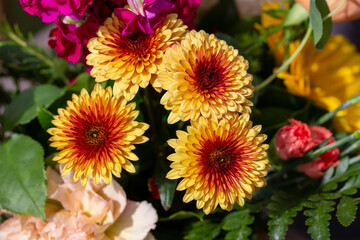 Close up texture background of a group of bright yellow and red chrysanthemum flowers in an indoor florist arrangement