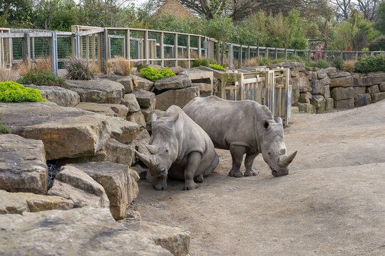 Animals in captivity Dublin Irel