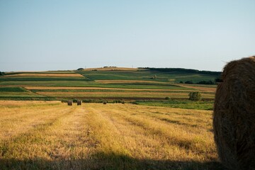 Scenic view of mowed field and straw bales after harvest under sunlight in the countryside