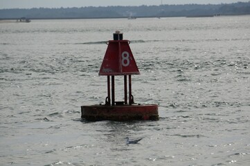 Red rusty navigational buoy in the water with the number 8