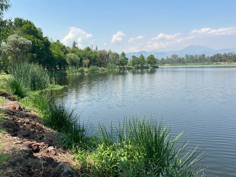 Lakeshore with vegetation and mountains on the background