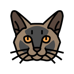 burmese cat cute pet color icon vector illustration