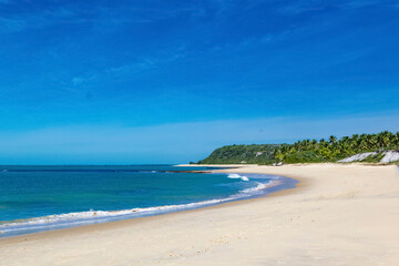 beach with palm trees