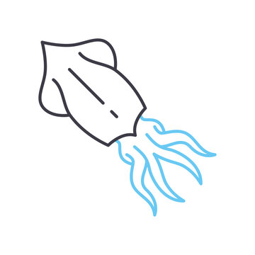 recommend clip art: squid line icon, outline symbol, vector illustration, concept sign