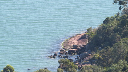 bird, animal, puffin, beak, nature, wildlife, duck, feather, wild, red, feathers, black, water, color, atlantic, sea, white, cormorant