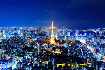 Sightseeing, teamLab Borderless, Tokyo City View And Sky Deck