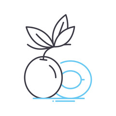 peach line icon, outline symbol, vector illustration, concept sign