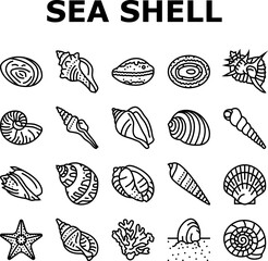 Fototapeta na wymiar sea shell beach summer ocean icons set vector