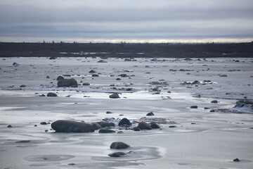 Frozen tundra near Churchill Manitoba
