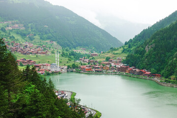 Fototapeta premium A foggy day in Uzungol - Caykara, Trabzon - Turkey