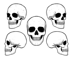 Collection set hand drawn skull vintage free vector
