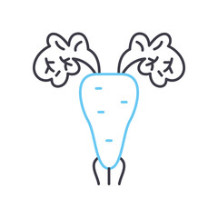 fresh carrot line icon, outline symbol, vector illustration, concept sign