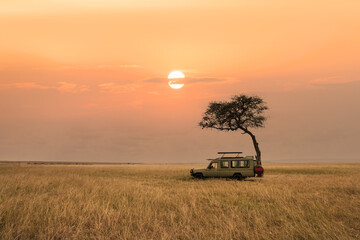 savanna grassland in africa during sunset with safari tourist travel car by tree - obrazy, fototapety, plakaty