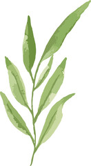 watercolor floral art set minimal style