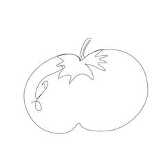 Tomato vegetable in continuous line art drawing style. Tomato plant minimalist black linear sketch isolated on white background. Vector one line