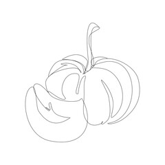 Pumpkin vegetable in continuous line art drawing style. Pumpkin plant minimalist black linear sketch isolated on white background. Vector one line