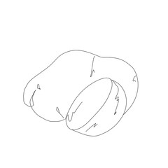 Potato vegetable in continuous line art drawing style. Potato plant minimalist black linear sketch isolated on white background. Vector one line