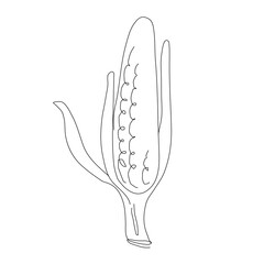 Corn vegetable in continuous line art drawing style. Corn plant minimalist black linear sketch isolated on white background. Vector one line