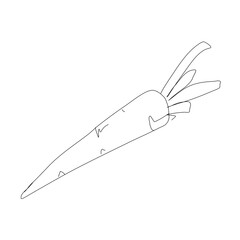 Carrot vegetable in continuous line art drawing style. Carrot plant minimalist black linear sketch isolated on white background. Vector one line