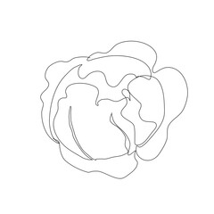 Cabbage vegetable in continuous line art drawing style. Cabbage plant minimalist black linear sketch isolated on white background. Vector one line