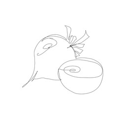Beet vegetable in continuous line art drawing style. Beet plant minimalist black linear sketch isolated on white background. Vector one line