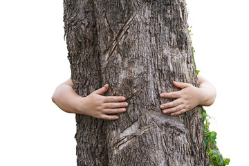 love tree hug tree.
