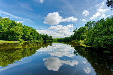 lake in the forest woods reflection fall summer sunny pier