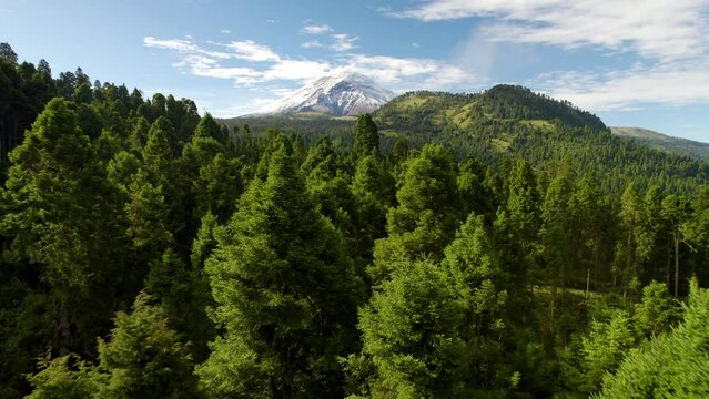 drone shot crossing the forest in front of the popocatepetl volcano in mexico during the emission of a fumarole