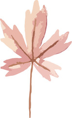watercolor floral tracing minimal style 