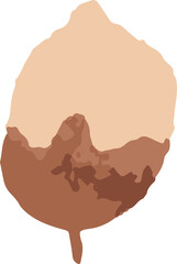 watercolor floral tracing minimal style 