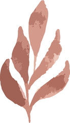 watercolor floral tracing minimal style 