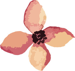 watercolor floral tracing minimal style 