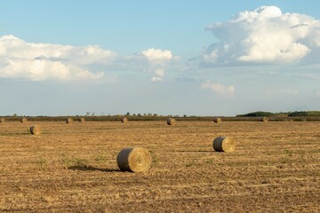 A warm autumn evening: an agricultural field with dry grass and rolls of hay against a cloudy evening sky