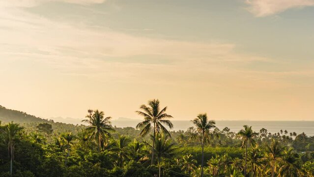 Colorful sunset over valley with palm trees and sea on a tropical island. View from the top. 4k time-lapse