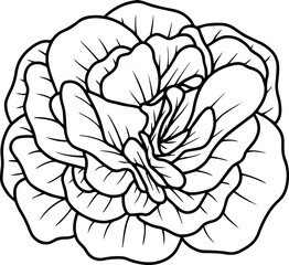 Hand Drawn Flower Sketch Line Art
