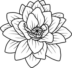 Flower Hand Drawn Sketch Line Art Illustration