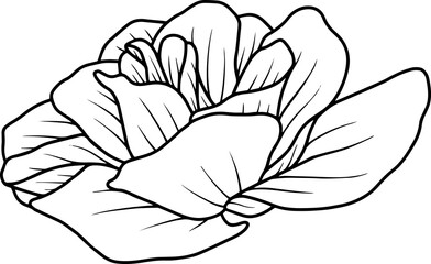 Hand Drawn Flower Sketch Line Art
