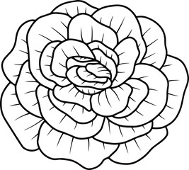 Hand Drawn Flower Sketch Line Art

