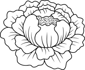 Flower Hand Drawn Sketch Line Art Illustration
