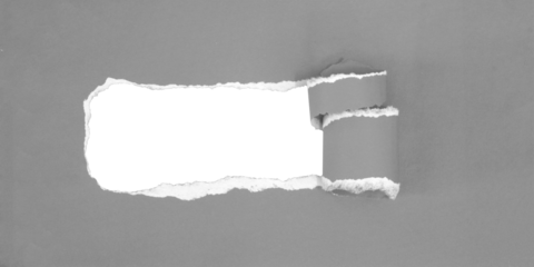 torn paper background , copy space for creative advertising text with transparent png file