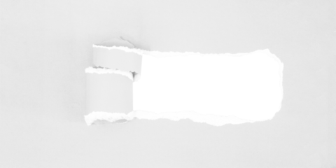 torn paper background , copy space for creative advertising text with transparent png file