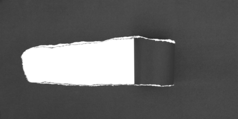 torn paper background , copy space for creative advertising text with transparent png file