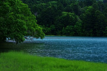 北海道の青い湖と静寂