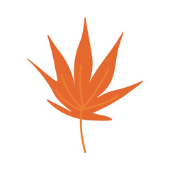 Cute autumn leaf isolated on white background