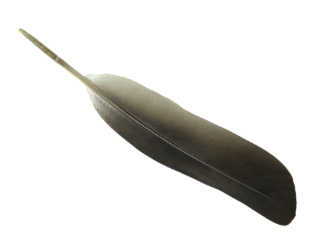 pattern leather on transparent background png file - Powered by Adobe