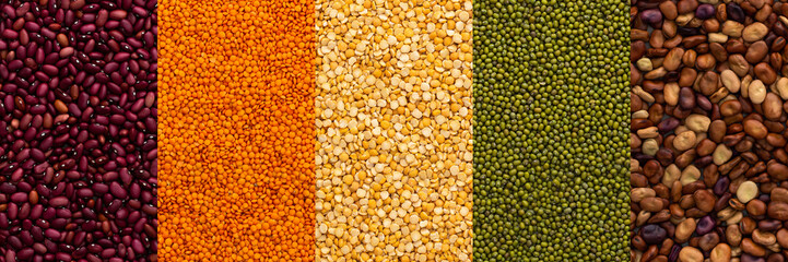 Different types of legumes banner, yellow peas and lentils and mung beans, red and brown beans, top view